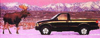 (A moose by a Chevy)